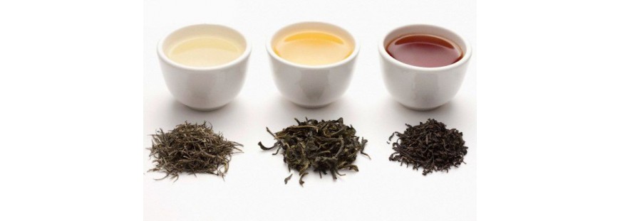 Comment choisir et préparer votre thé